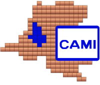 CAMI Logo